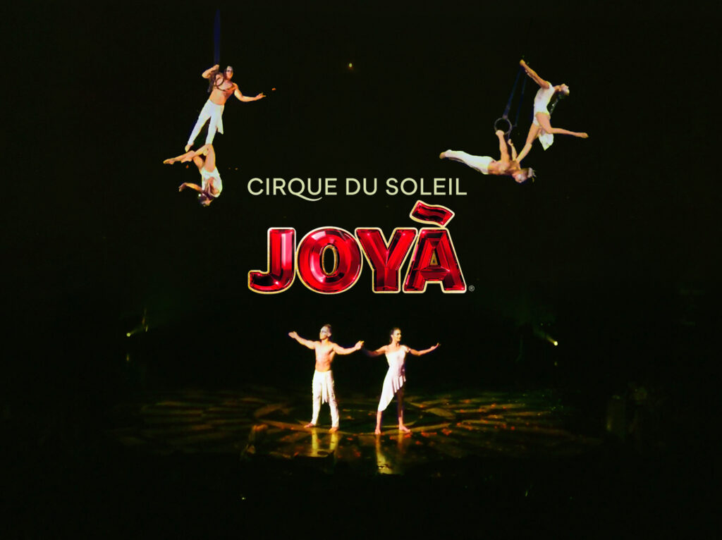 JOYA Duo Rings Cirque du Soleil